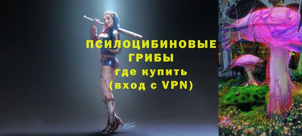хмурый Волосово