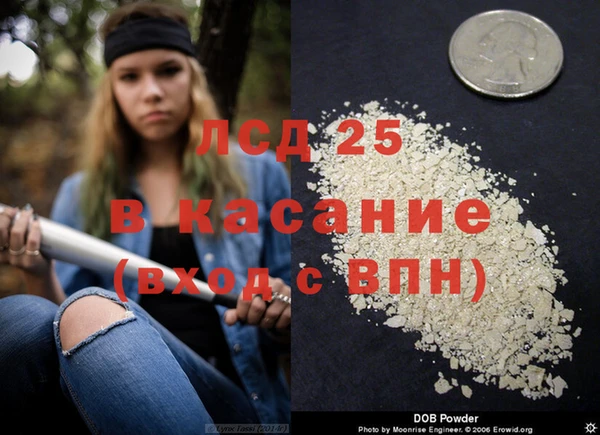 сатива Горно-Алтайск