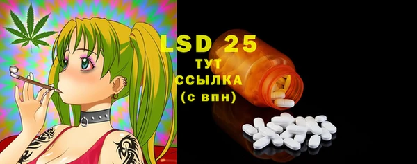 прущие грибы Верхний Тагил