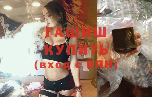 сатива Горно-Алтайск