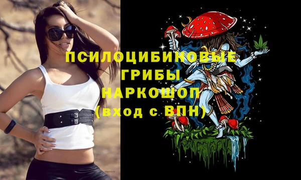 не бодяженный Семёнов