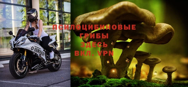 бошки Горнозаводск