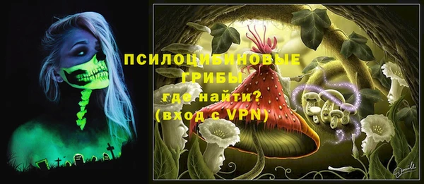 СК Семилуки